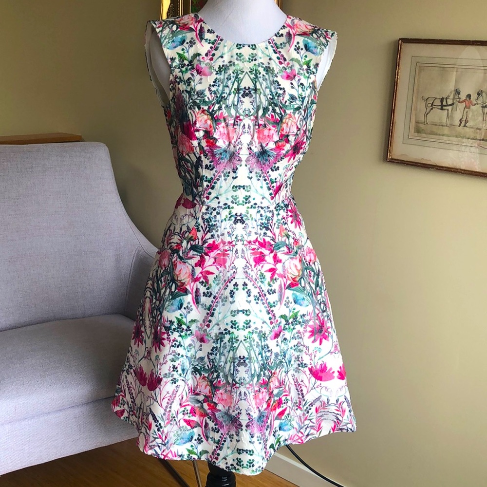 Ted Baker London dress size 0 floral ruffle